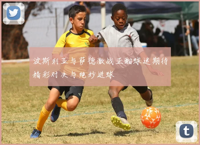波斯利亚与萨德激战正酣球迷期待精彩对决与绝妙进球