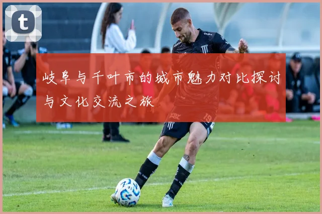 岐阜与千叶市的城市魅力对比探讨与文化交流之旅