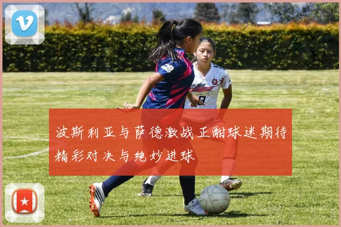 波斯利亚与萨德激战正酣球迷期待精彩对决与绝妙进球